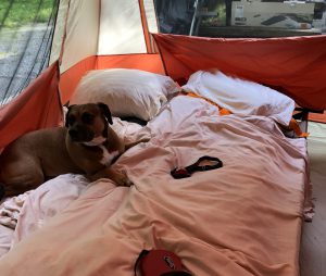Her Royal Highness Goes Camping - www.alliepottwrites.com